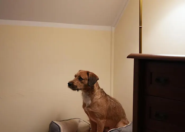 Hotel Relaks Wellness&SPA